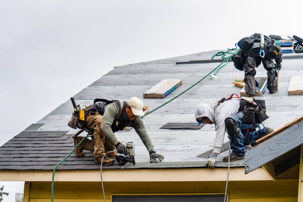 Professional Storm Damage Roof Repair technician working in Moulton, IA